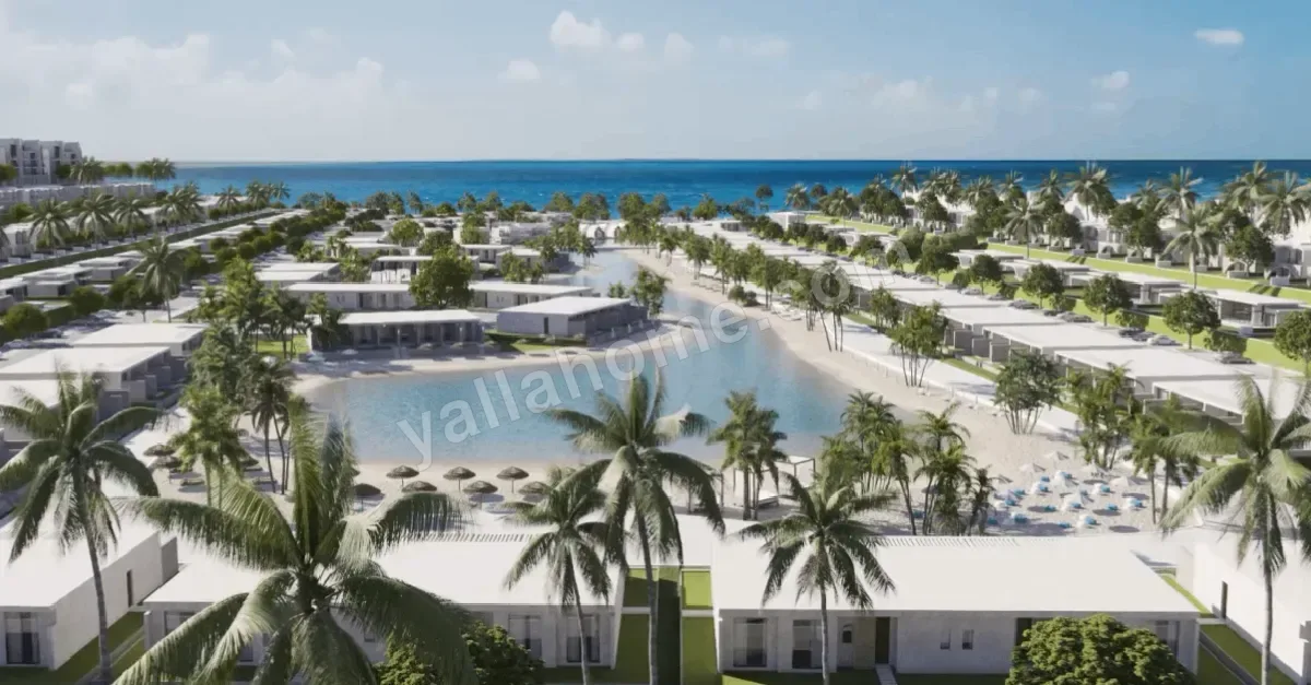دي باي - D-Bay — صورة 1